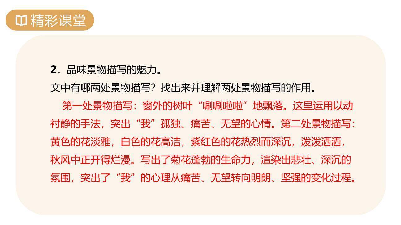 秋天的怀念PPT课件84