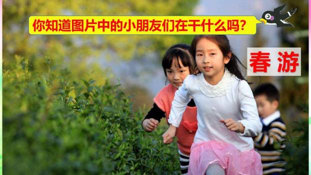 春游去哪儿玩PPT课件49