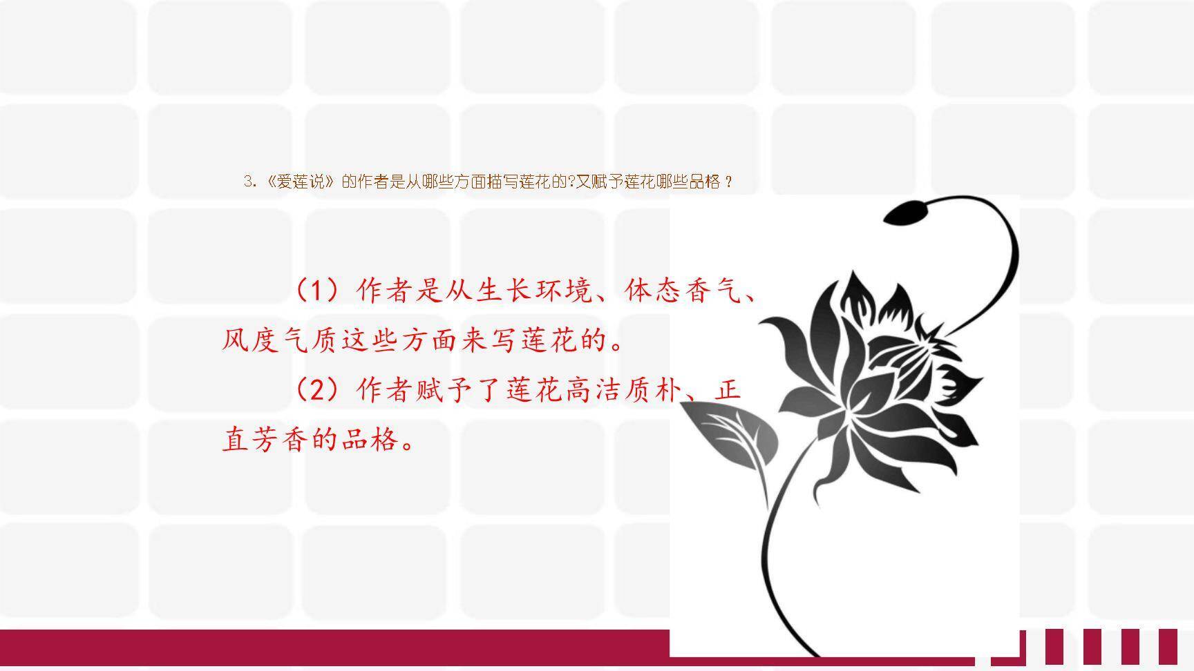 短文两篇PPT课件19