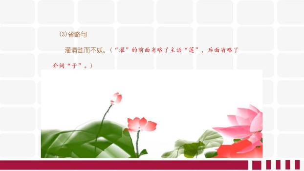 短文两篇PPT课件17