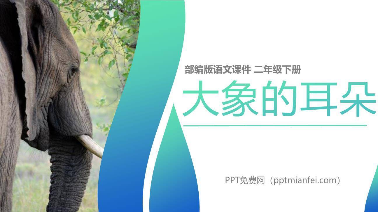 大象的耳朵PPT课件30