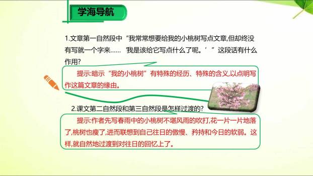 一颗小桃树PPT课件53