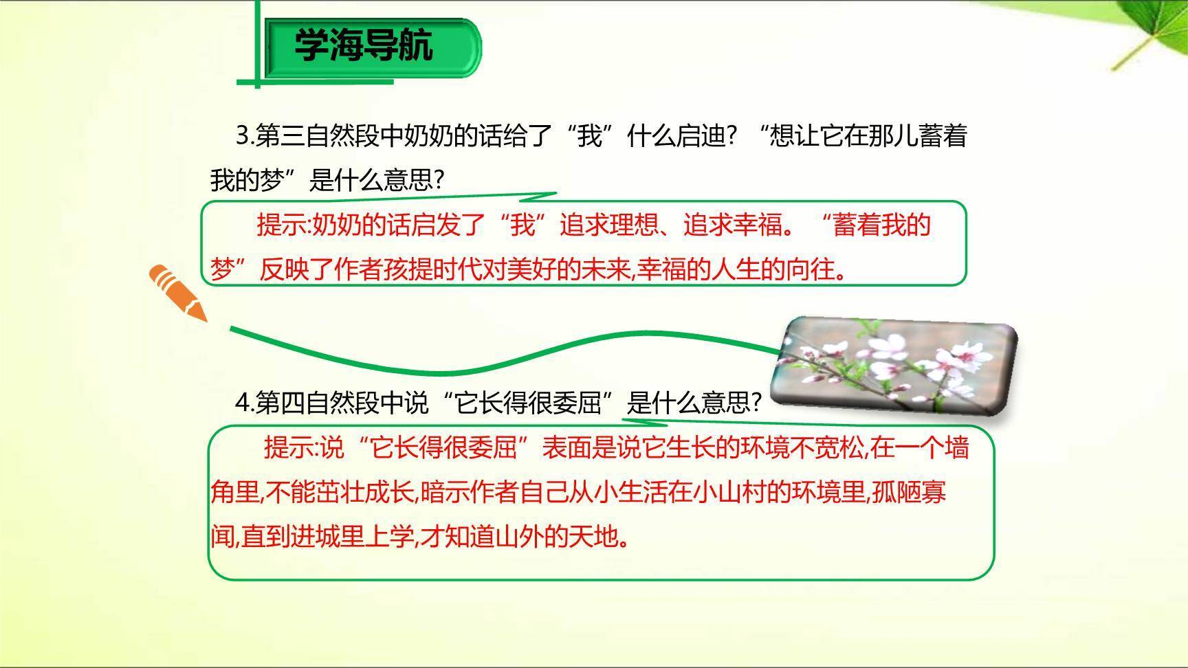 一颗小桃树PPT课件54