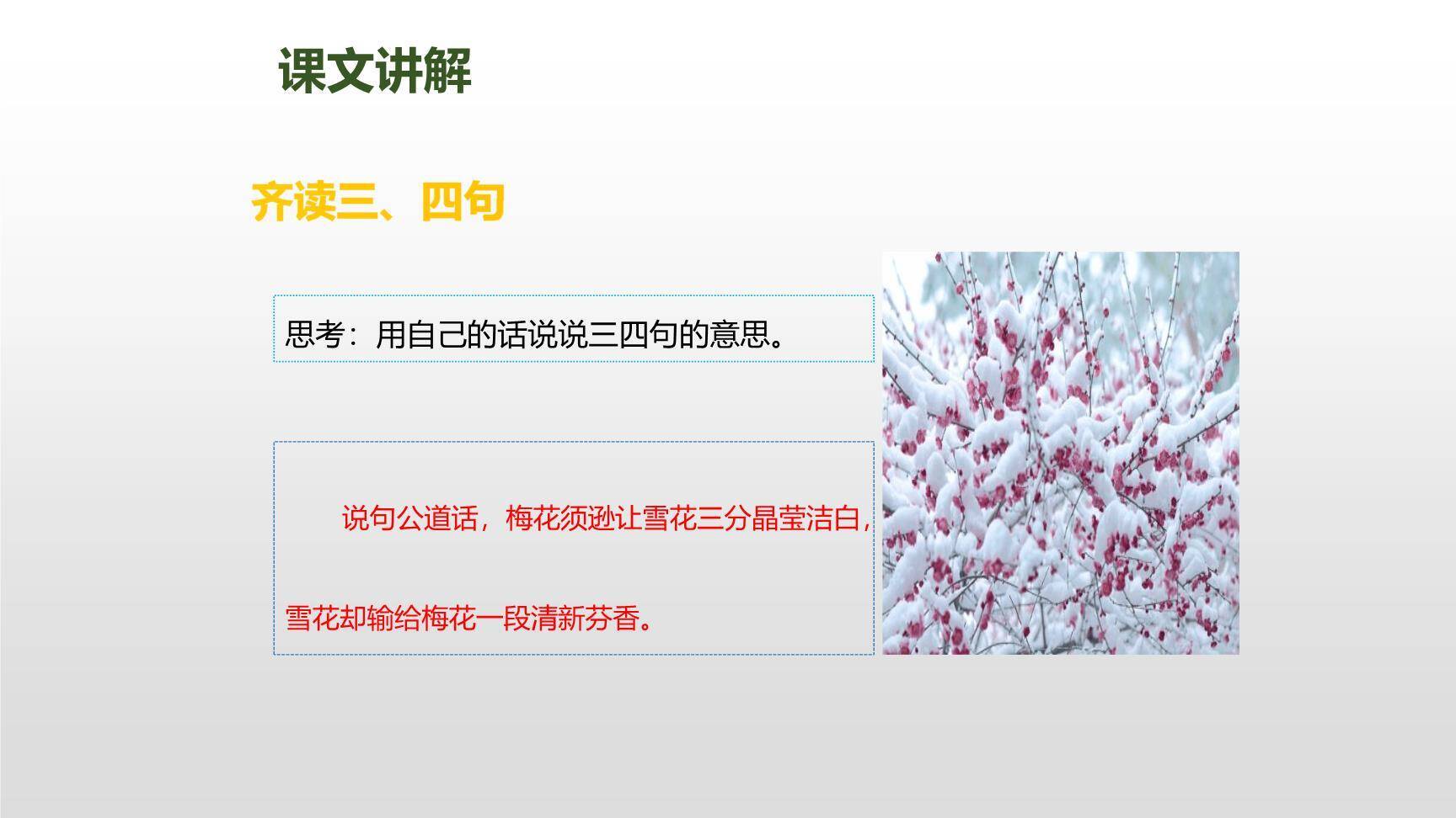 雪梅PPT课件15