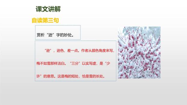 雪梅PPT课件16