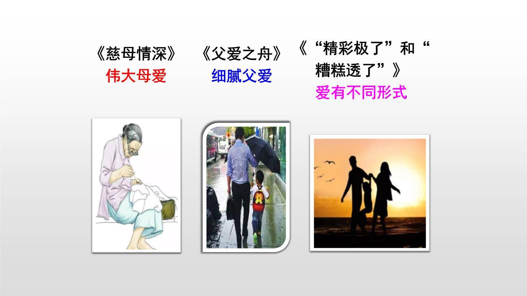 父母之爱PPT课件65