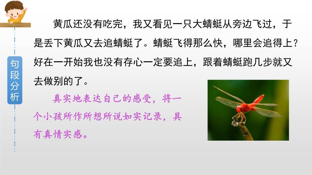 祖父的园子PPT课件49