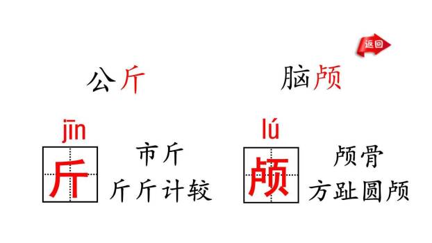 飞向蓝天的恐龙PPT课件71