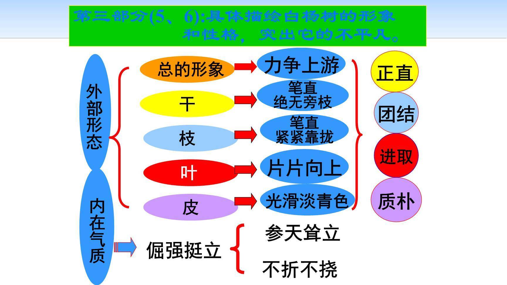 白杨礼赞PPT课件23