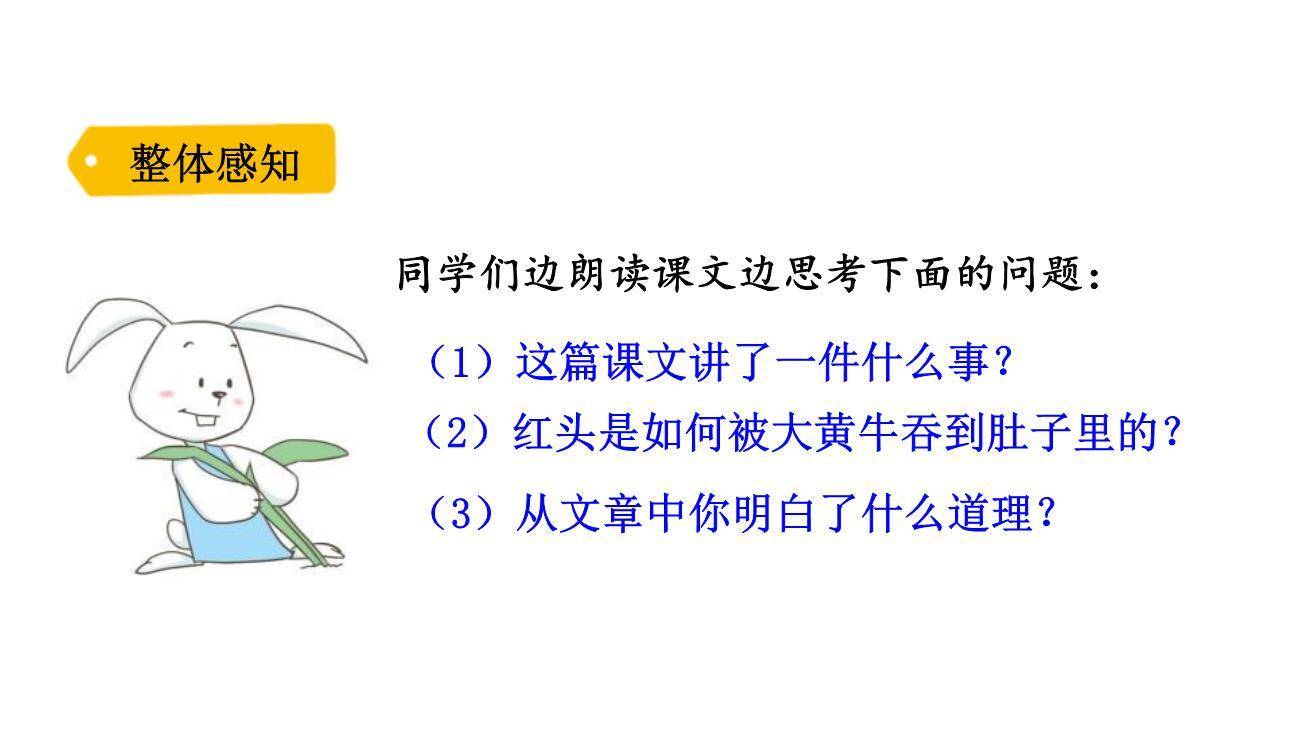 在牛肚子里旅行PPT课件63
