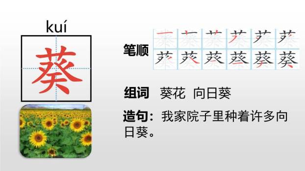 宝葫芦的秘密PPT课件35