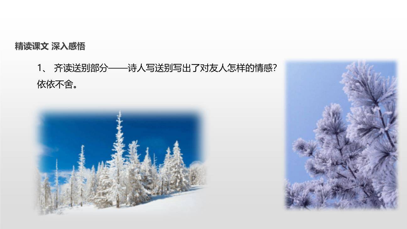 白雪歌送武判官归京PPT课件12