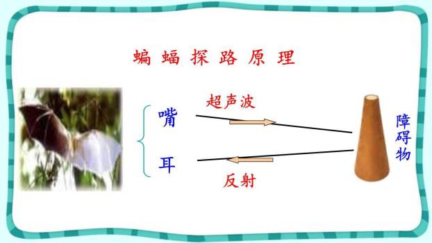 蝙蝠与雷达PPT课件88