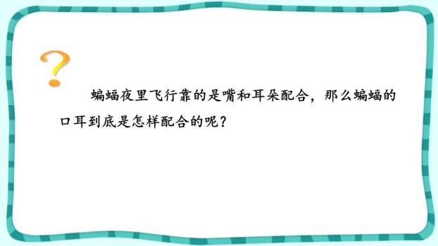 蝙蝠与雷达PPT课件85