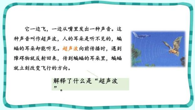 蝙蝠与雷达PPT课件87