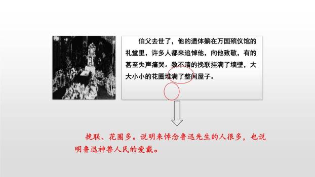 我的伯父鲁迅先生PPT课件55