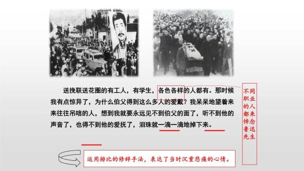 我的伯父鲁迅先生PPT课件56