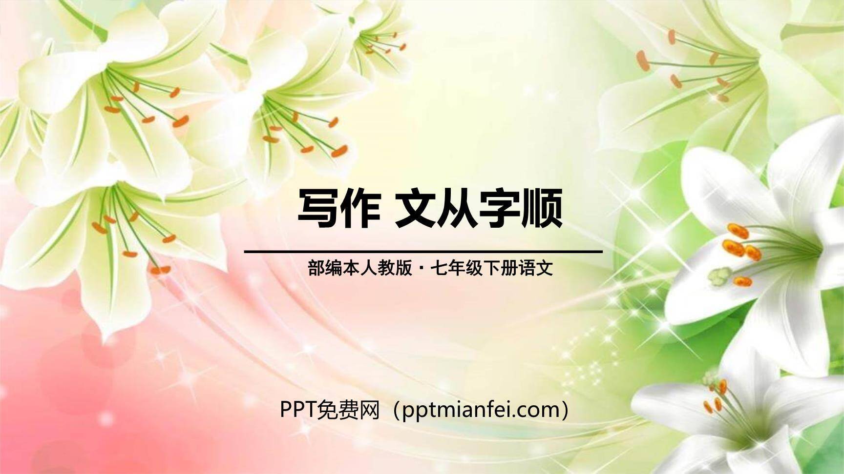 文从字顺PPT课件30