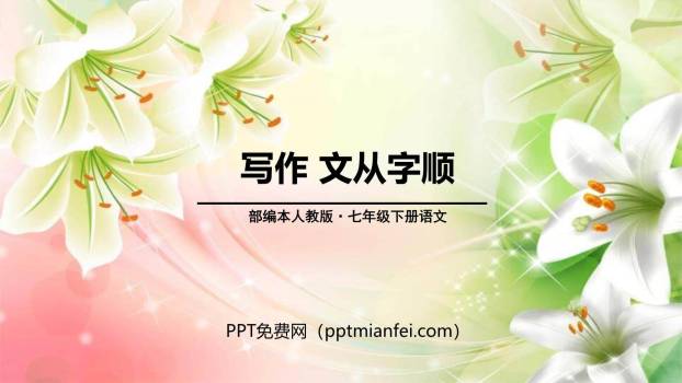 文从字顺PPT课件30