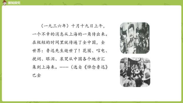 我的伯父鲁迅先生PPT课件11