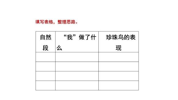 珍珠鸟PPT课件68