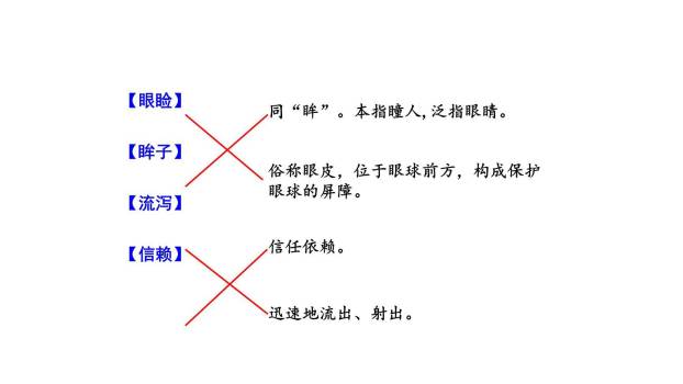 珍珠鸟PPT课件65