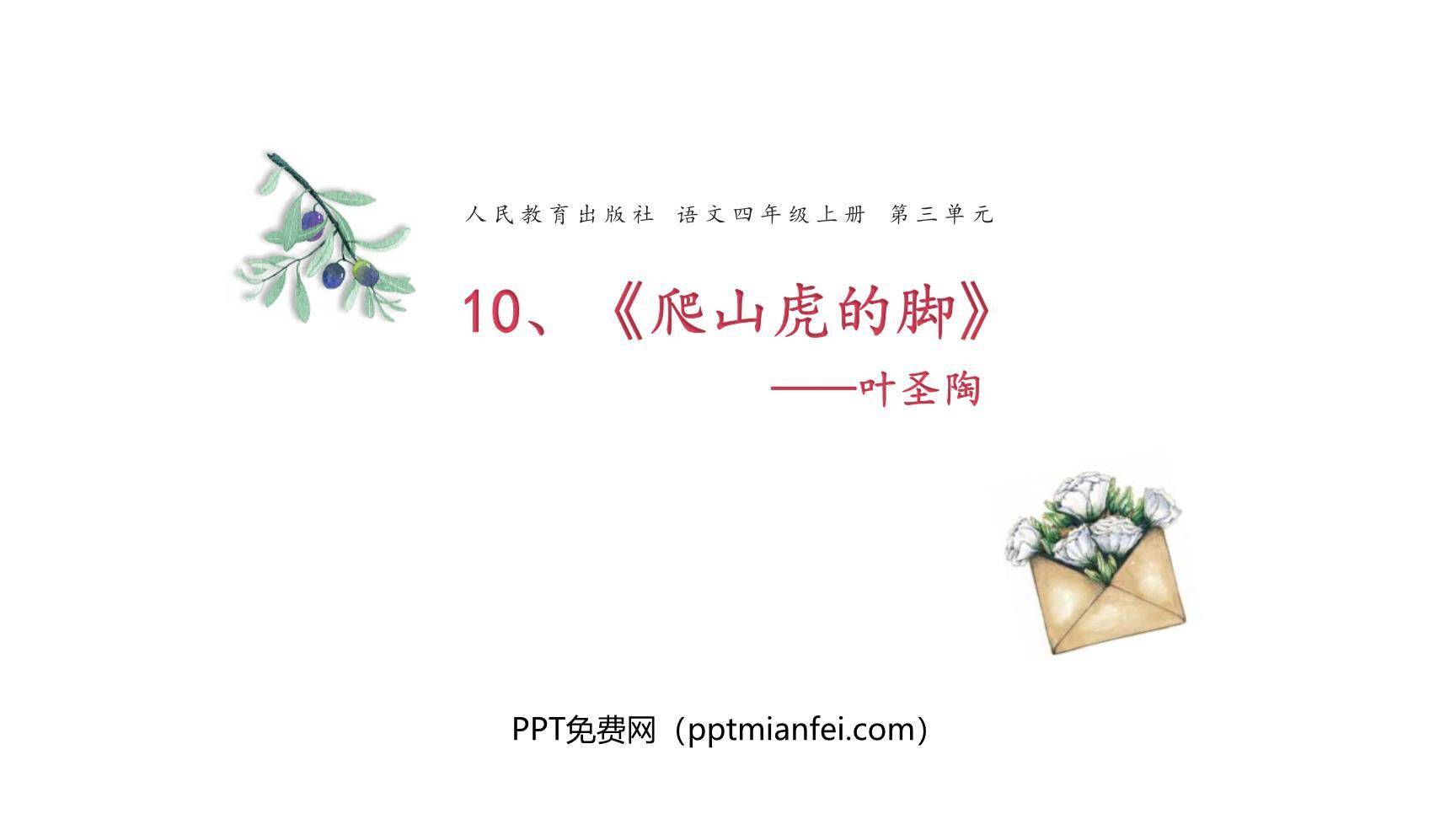 爬山虎的脚PPT课件40