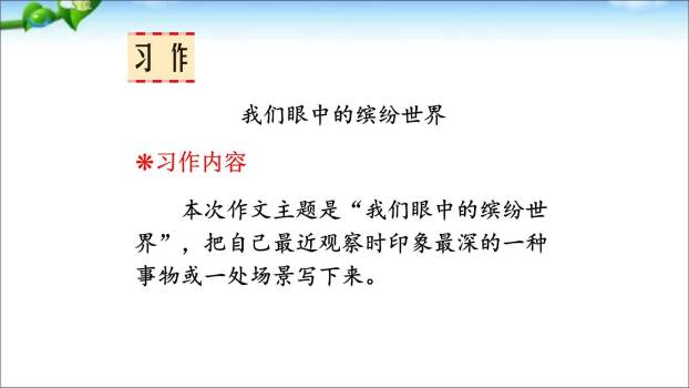 我们眼中的缤纷世界PPT课件48