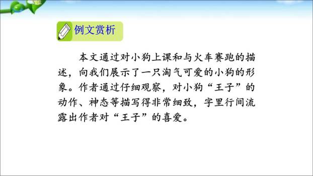 我们眼中的缤纷世界PPT课件41