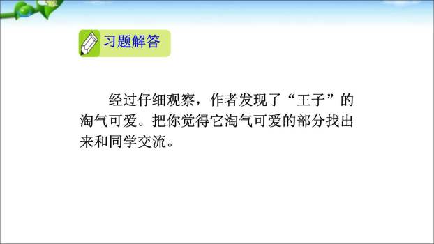 我们眼中的缤纷世界PPT课件42