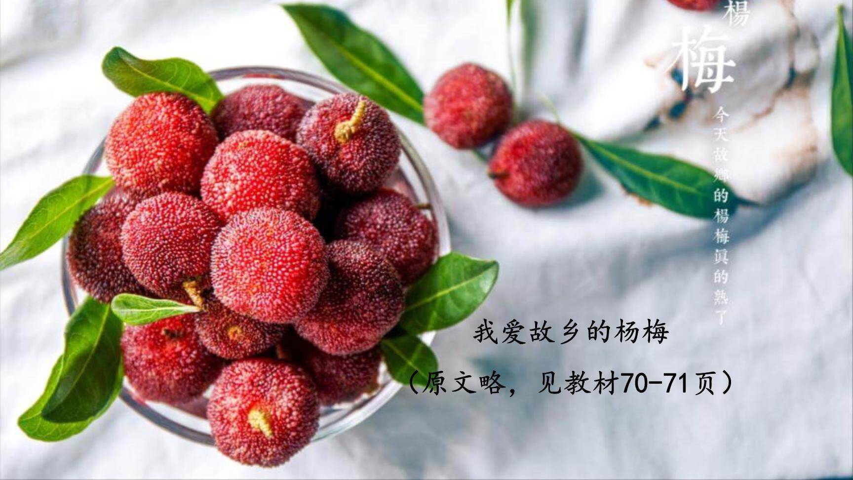 我们眼中的缤纷世界PPT课件44