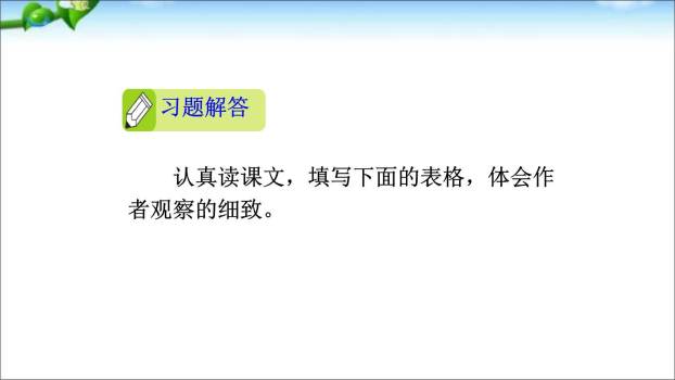 我们眼中的缤纷世界PPT课件46