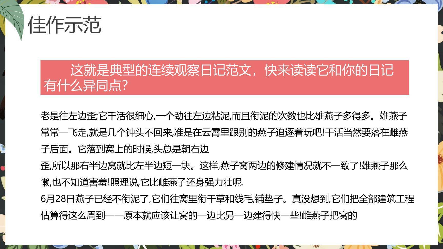 写观察日记PPT课件48