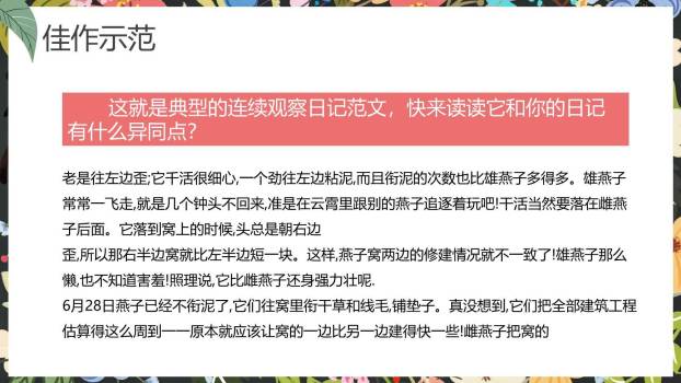 写观察日记PPT课件48