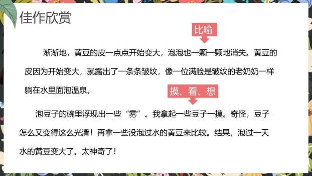 写观察日记PPT课件49