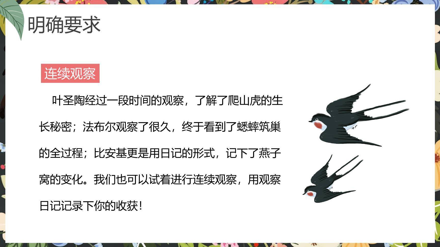 写观察日记PPT课件44