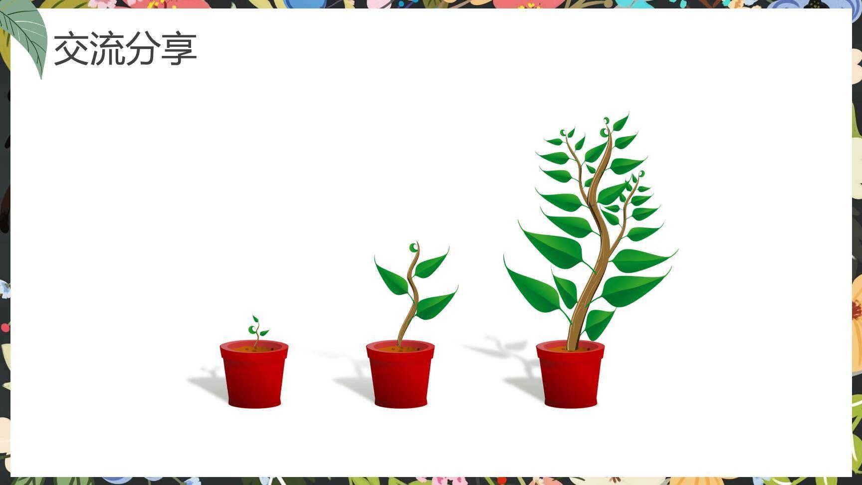 写观察日记PPT课件45