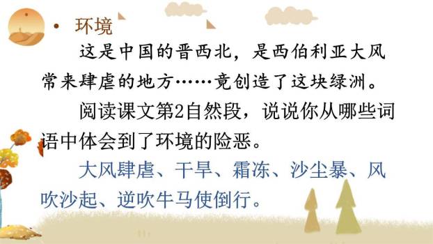 青山不老PPT课件63