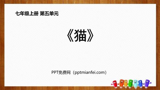 《猫》PPT课件60