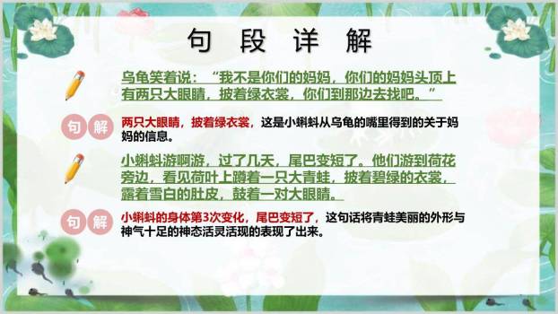 小蝌蚪找妈妈PPT课件35