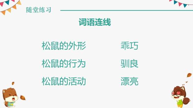松鼠PPT课件49