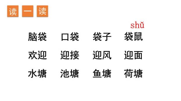 小蝌蚪找妈妈PPT课件47