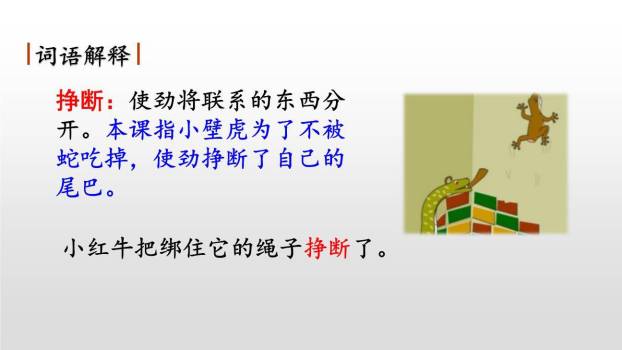 小壁虎借尾巴PPT课件89