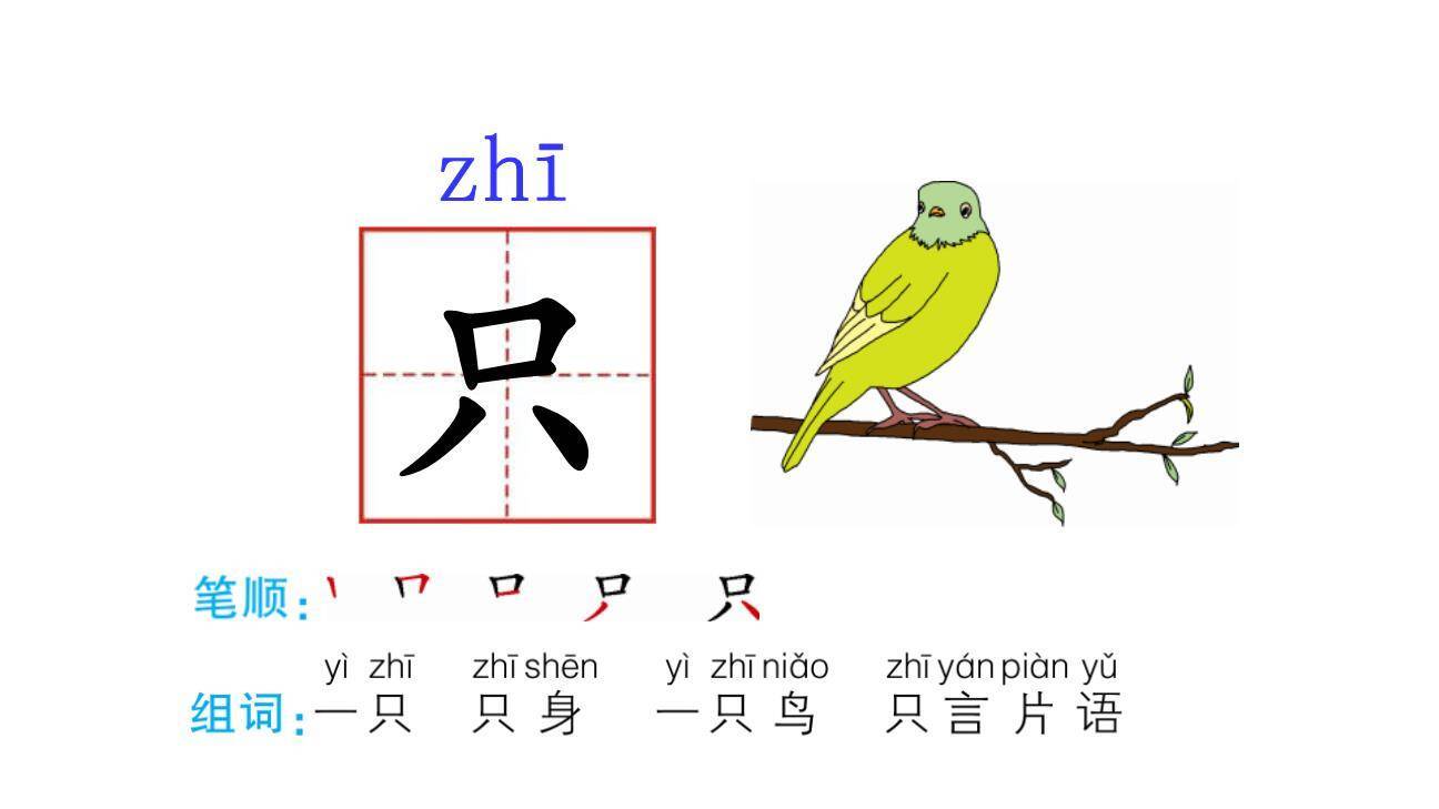 乌鸦喝水PPT课件11