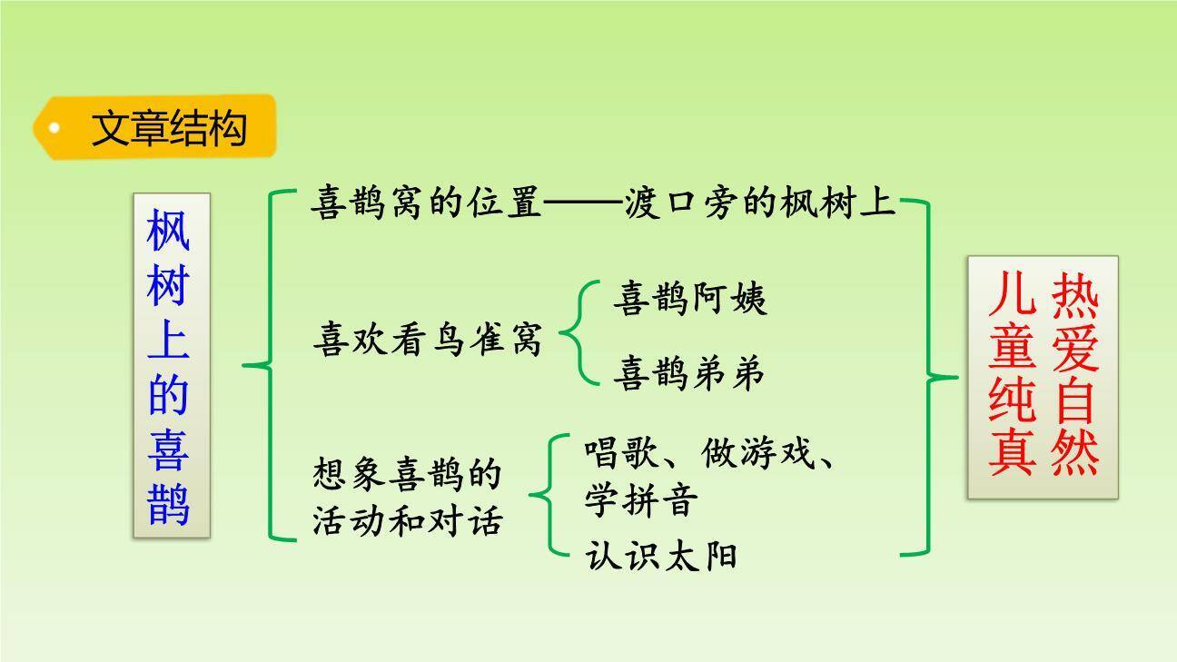 枫树上的喜鹊PPT课件38