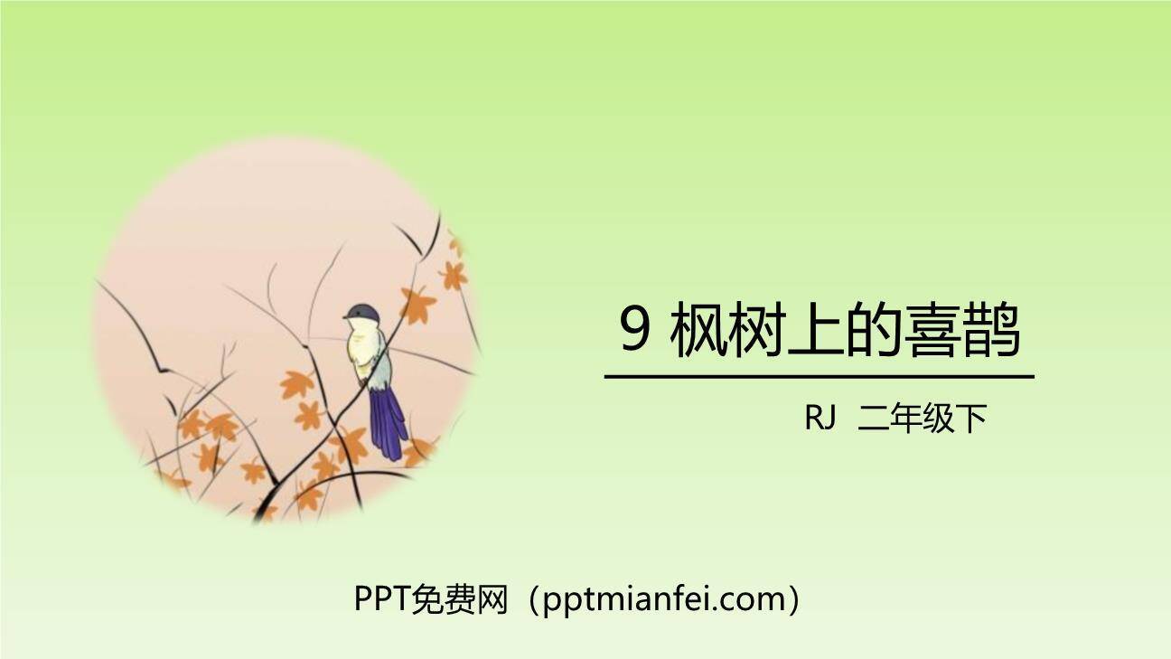 枫树上的喜鹊PPT课件30