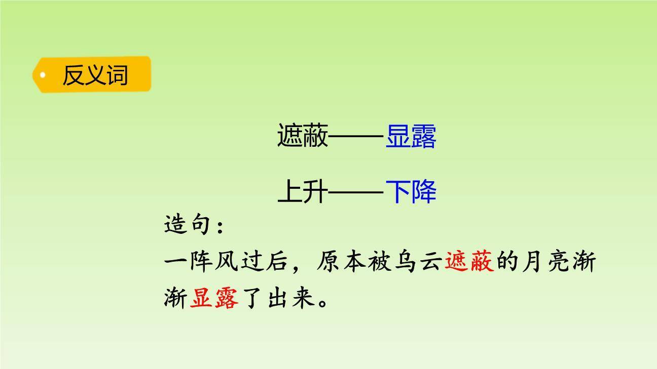 枫树上的喜鹊PPT课件32