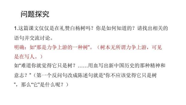 白杨礼赞PPT课件62