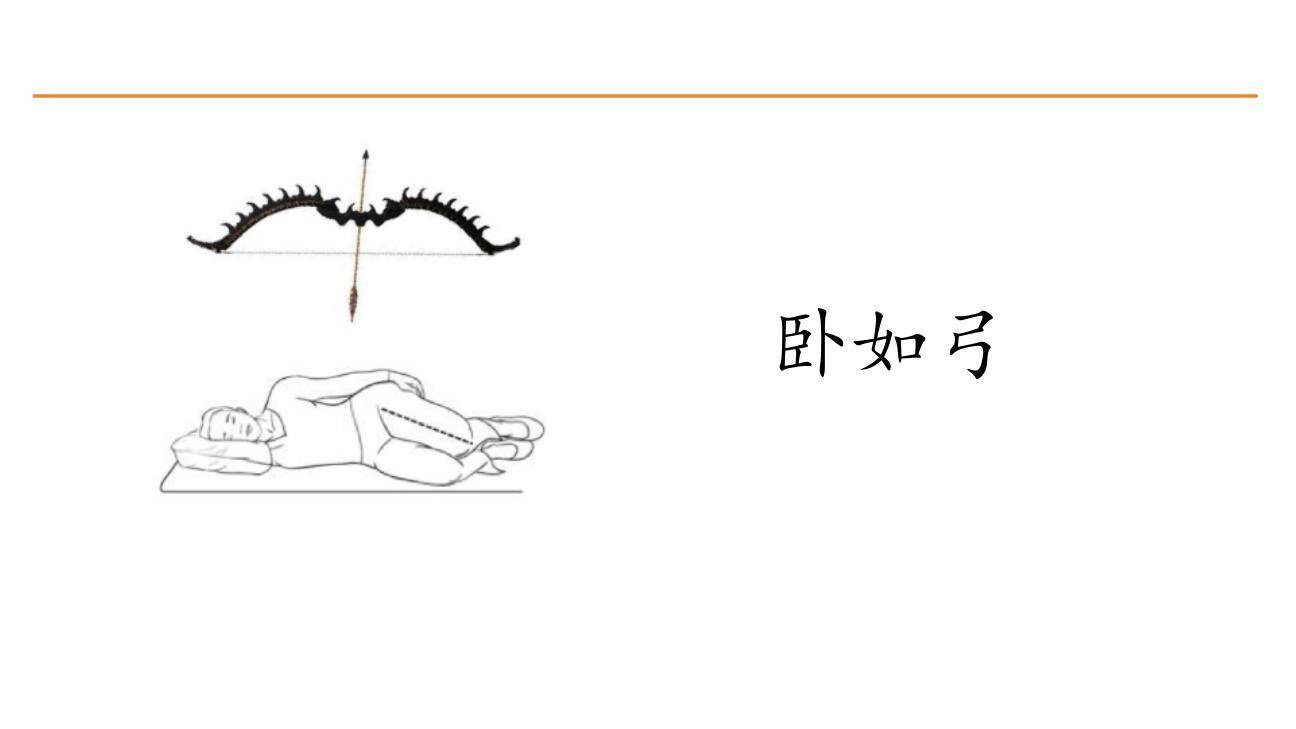 耳口目PPT课件64