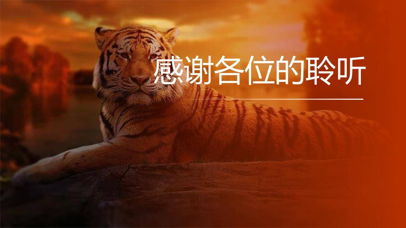 一只窝囊的大老虎PPT课件37